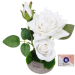 Цветочная композиция «Розовый восторг» 22см в горшке, цвет белый