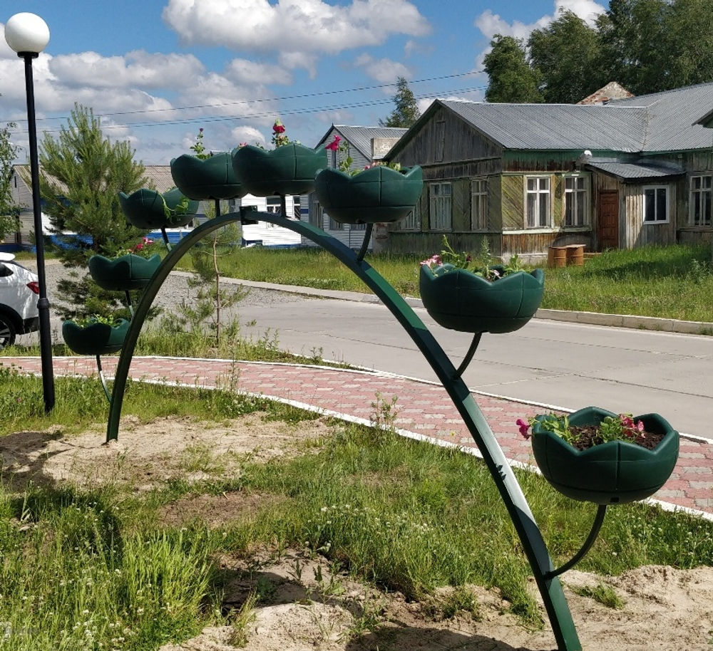 Арка Сингл-1