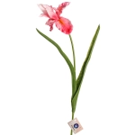 Цветок искусственный «Natur» 60см Ирис розовый