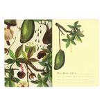 Тетрадь B5 (179x250 мм), 60 листов, BRUNO VISCONTI сшивка, клетка, Soft Touch, фольга, бежевая бумага 70 г/м, "БАОБАБ", 7-60-001/11