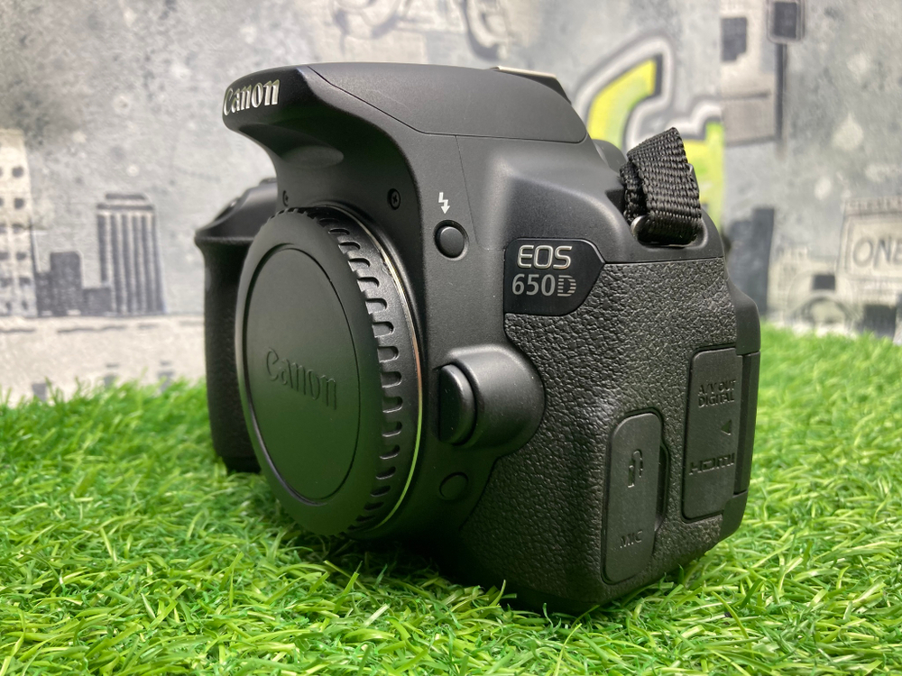Canon EOS 650D (1.400 кадров)