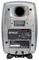 Genelec 8030CRw