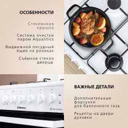 Комбинированная плита Hansa FCMW530031A