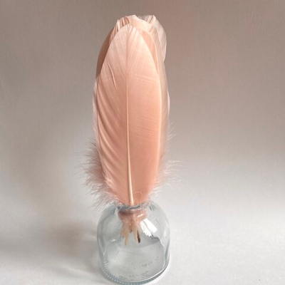 Гусиные перья нюд ровные 20шт.