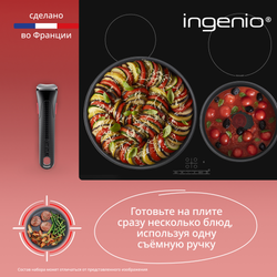 Набор посуды со съемной ручкой Tefal Ingenio Natural Force 3 предмета 22/26 см L3969202