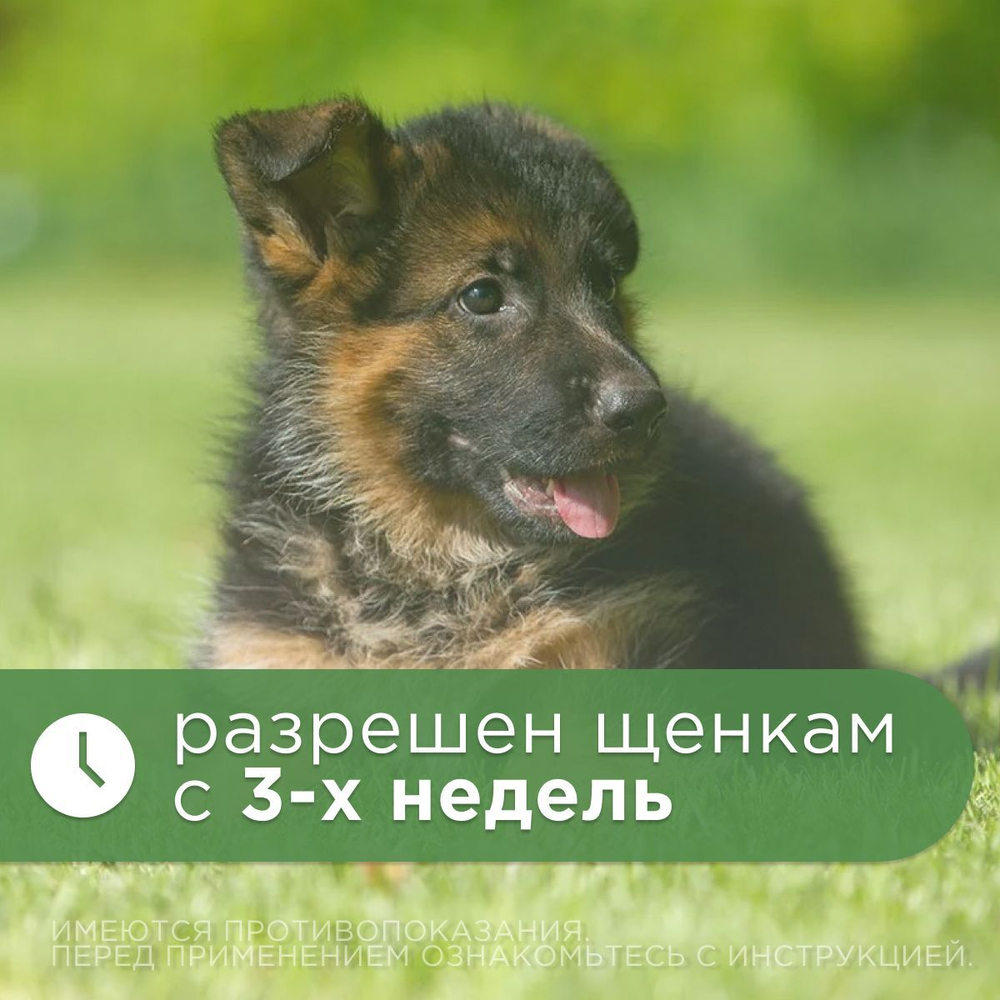Суспензия для лечения и профилактики глистов АВЗ Фебтал-комбо для щенков мелких пород, 7 мл