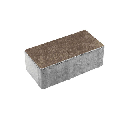 Тротуарная плитка ПРЯМОУГОЛЬНИК 200x100 мм - Листопад гладкий Хаски