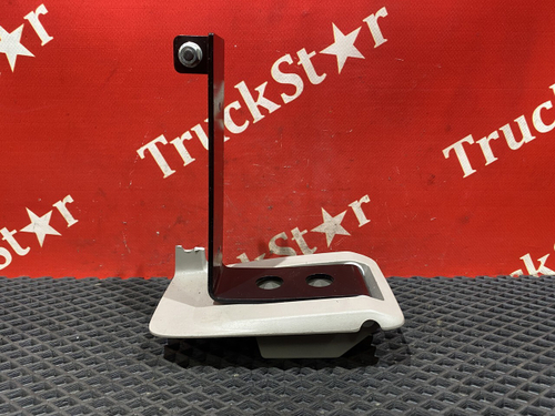 Петля спальника левая 2019г