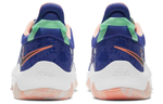Кроссовки Nike Pg 5