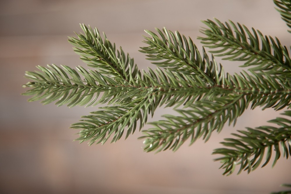 Ель Шервуд Премиум Стройная 185см зеленая Triumph Tree