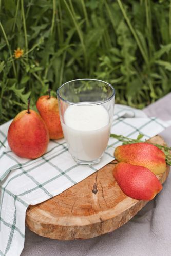 Снежок 2,5% 0,3 мл