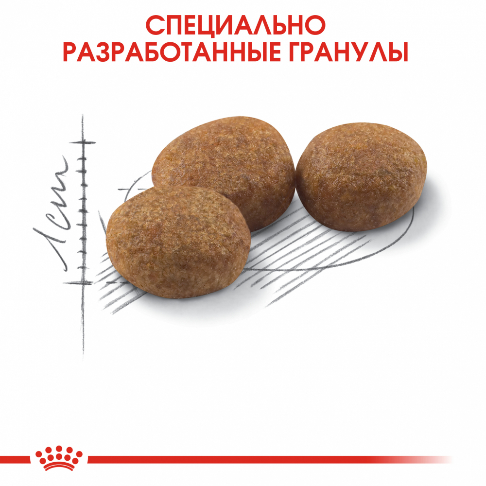 Сухой корм ROYAL CANIN Sterilised 37 для взрослых стерилизованных кошек - 4 кг