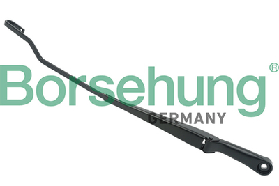 Borsehung - 9549RWP1-POL - Wiper Arm, window cleaning - Na nasem stanju artikl proizvodaca POLCAR.