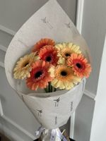 Кулек из 7 минигербер кремовых оттенков