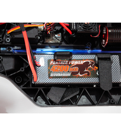 Радиоуправляемый монстр Remo Hobby Dinosaurs Master Brushless UPGRADE (красный) 4WD 2.4G 1/8 RTR
