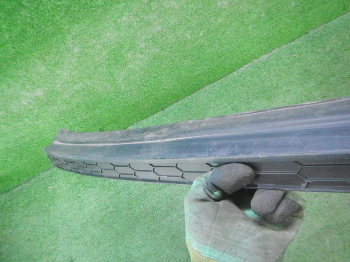 DSCN4612.JPG