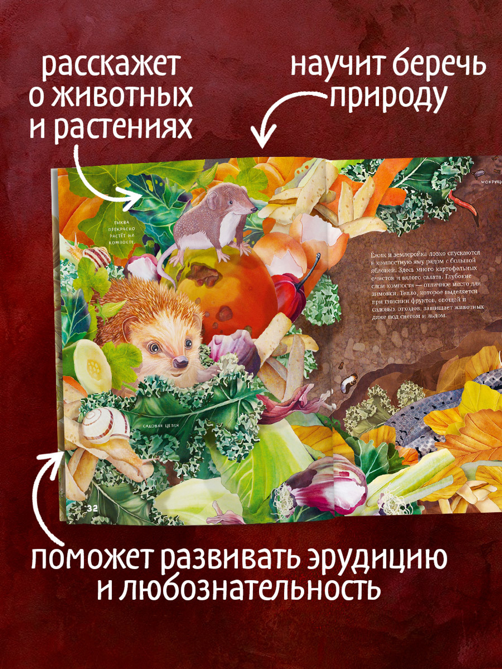 Удивительные энциклопедии. Секреты осеннего леса. Визуальная энциклопедия