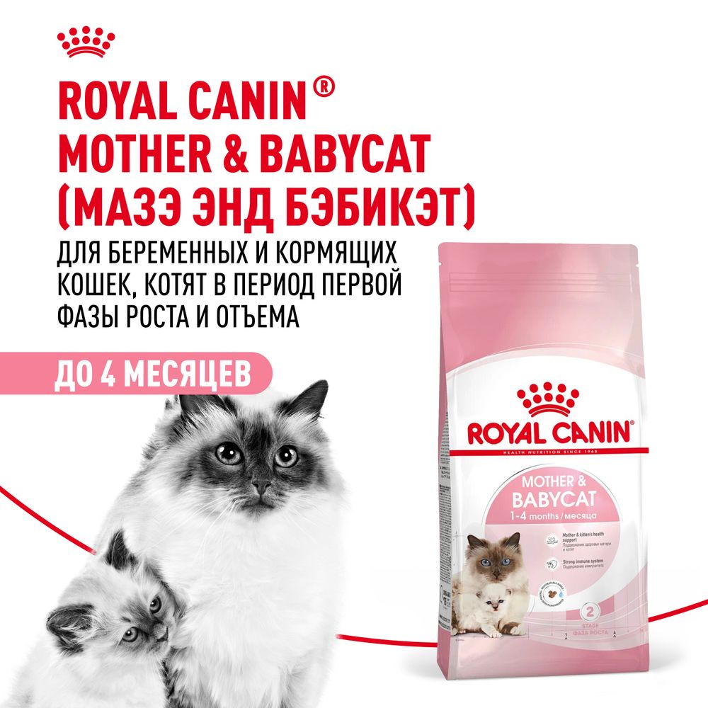 Сухой корм Royal Canin Mother&Babycat для котят в период первой фазы роста и отъема, беременных и кормящих кошек Сухой корм Royal Canin Mother&Babycat для котят в период первой фазы роста и отъема, беременных и кормящих кошек