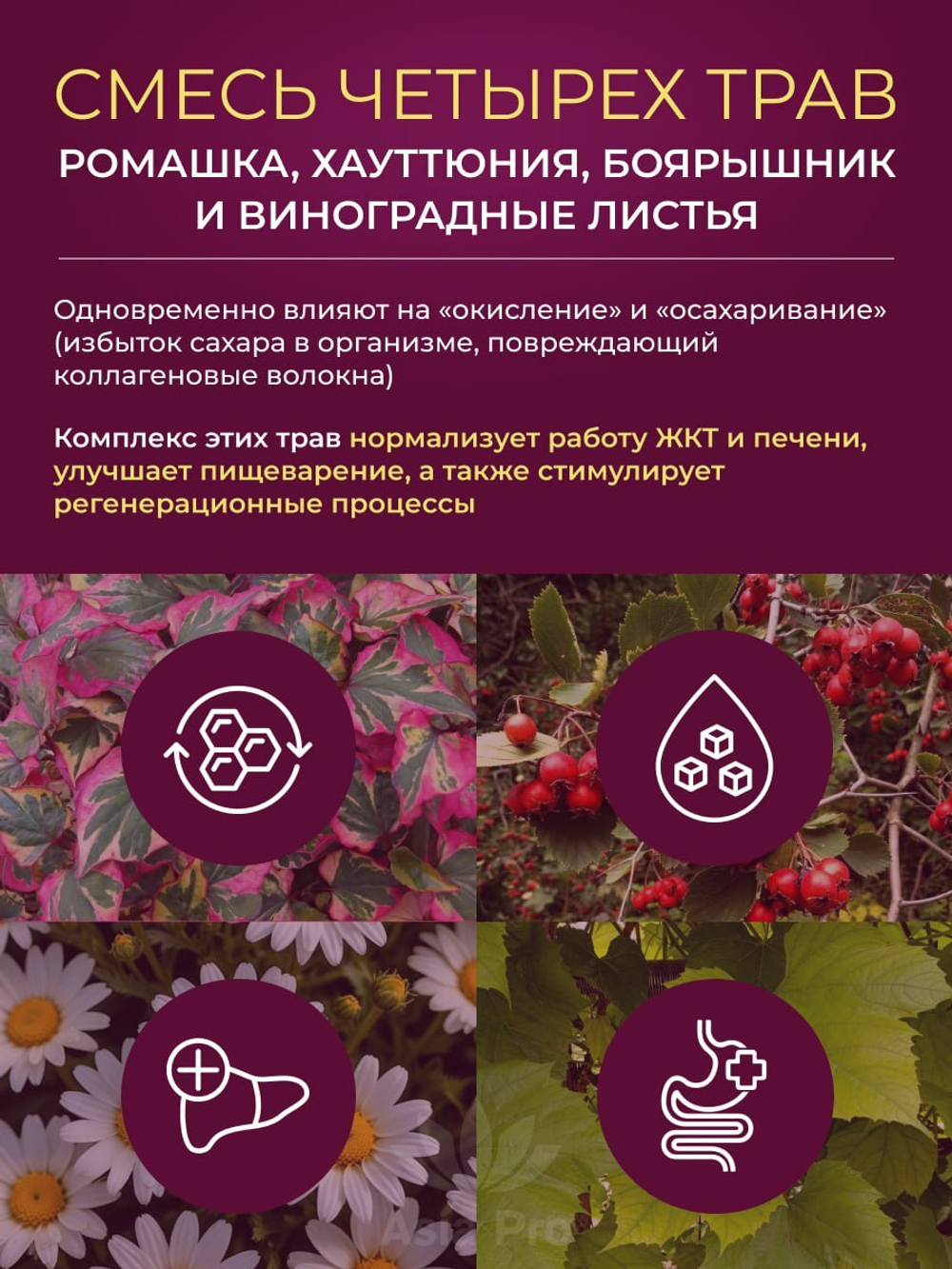 Напиток с высокой концентрацией растительных ферментов Finozyme 310, Dr.Select, 450 гр (15гр × 30 шт)