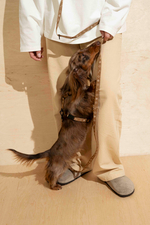 Поводок-перестежка "Пони-Компаньони" Mini, рыжий 300 см