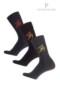 Носки мужские Pantelemone PN-193 (3 пары)