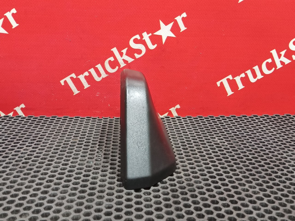 Накладка зеркала левого 2019г.