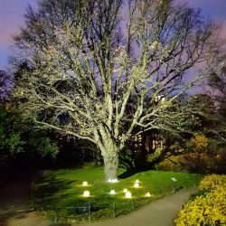 ULG-R001 020-RGB IP65 BALL Светильник декоративный светодиодный Шар. Аккумуляторный в-к. Диаметр 20см. RGB свет. TM Uniel