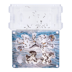 Муравьиная ферма START