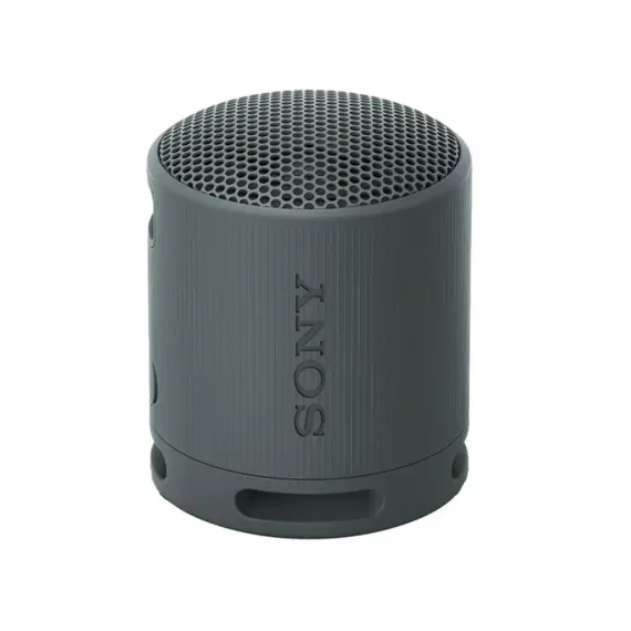 Sony SRS-XB100 Black