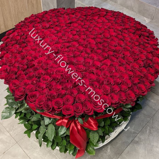 501 Роза Эквадор 80см в корзине