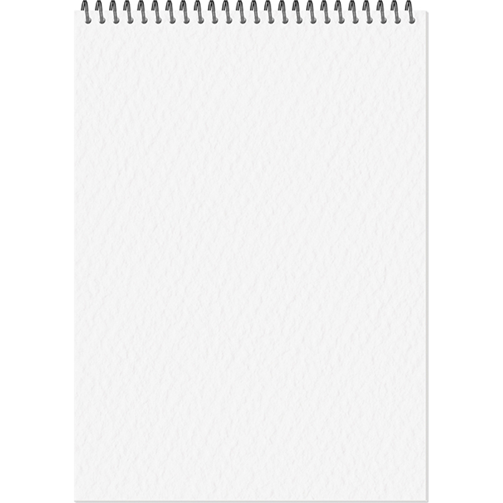 Блокнот-скетчбук Fine Line classic format A4 12 листов на металлическом гребне