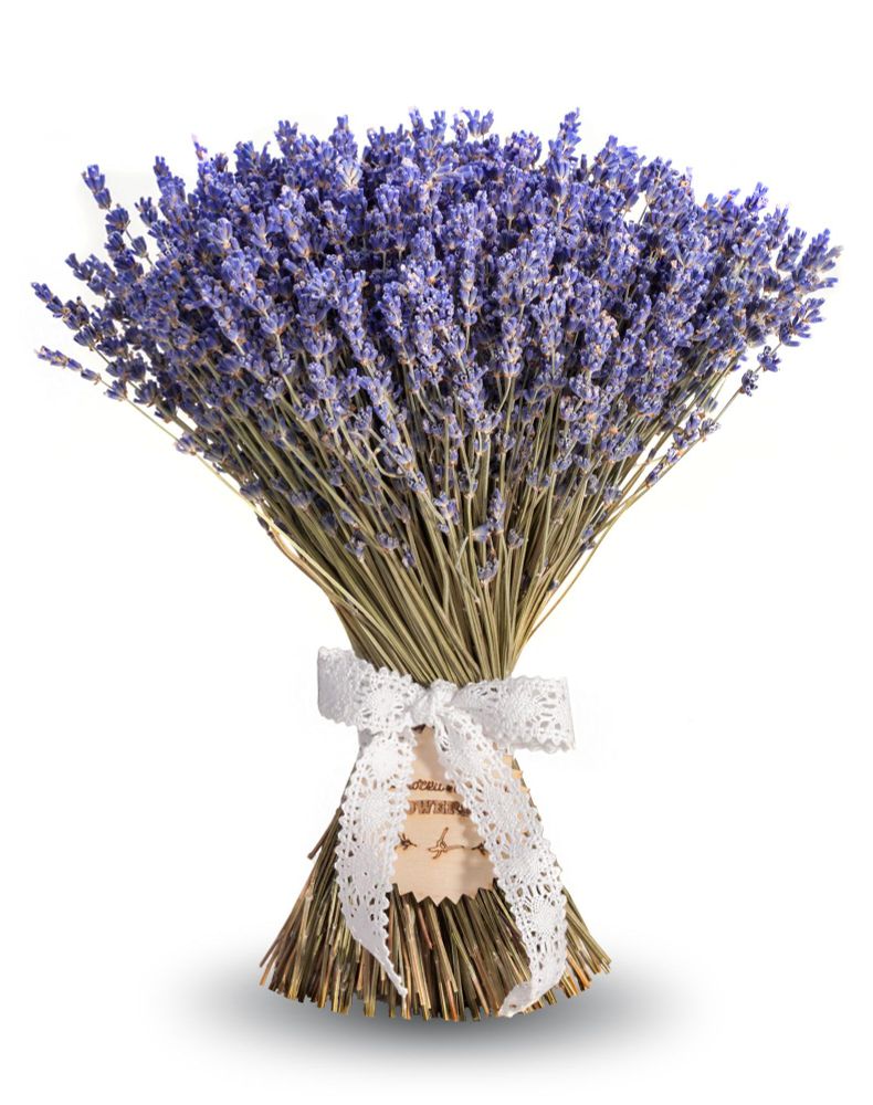 Букет Лаванды сухоцвет  30х25 см