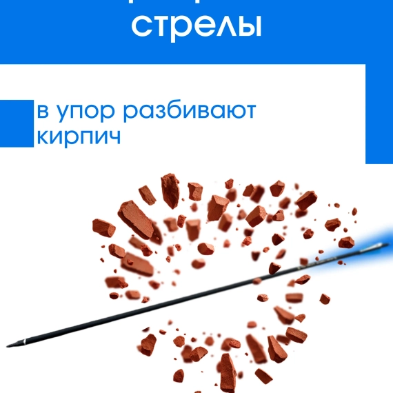 Стрелы для лука охотничьи 80см микс карбоновые спортивные Groza (Синие 12шт)