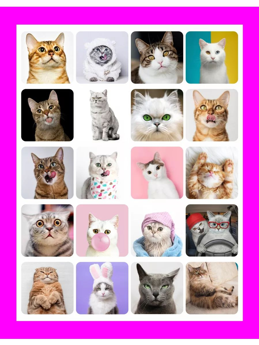 Наклейки детские на телефон стикеры на карту Котики