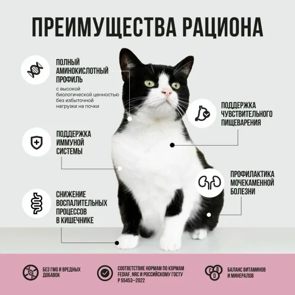 Пауч BOWL WOW для стерилизованных кошек с телятиной с овощами, кусочки в соусе