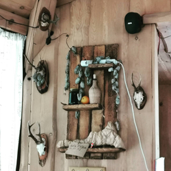 Грифон