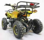 Электроквадроцикл Green Camel Гоби K21 (36V 800W R6 Цепной привод)