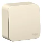 Schneider Electric BLANCA О/У ВЫКЛЮЧАТЕЛЬ 1-клавишный (cх.1) ИЗОЛ.ПЛ., 10А, 250B, МОЛОЧНЫЙ 407508
