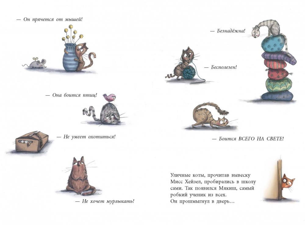 Школа пугливых котиков