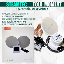 Парогенераторы для хамама и турецкой бани Steamtec TOLO MOMENT - 6 кВт/ Cерия PLATINUM со встроенной музыкой, пультом на 9-ти языках и возможностю монтажа без термодатчиков