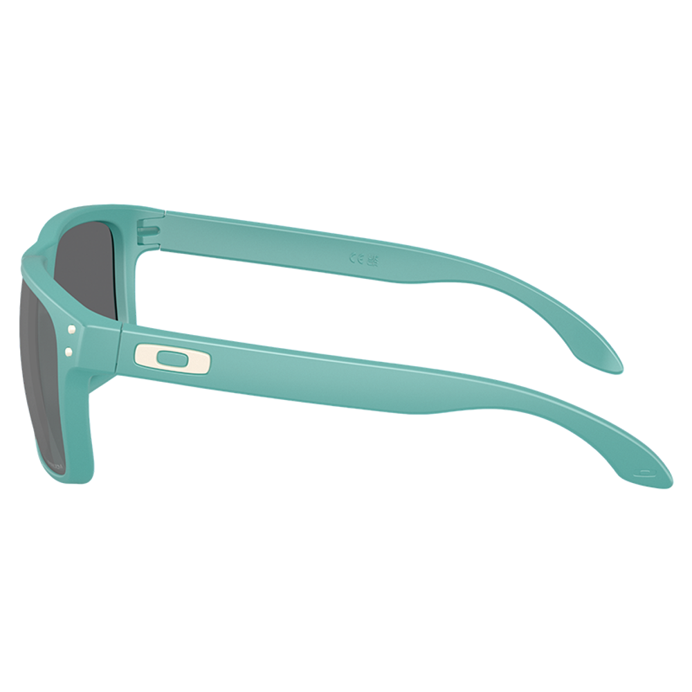 Oakley Holbrook Очки