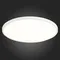 ST601.542.48 Светильник настенно-потолочный Белый LED 1*48W 4000K 4 320Lm Ra>90 120° IP20 D600xH26 1 Накладные светильники
