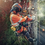 Husqvarna T540i XP аккумуляторная цепная пила (без АКБ и ЗУ) 9679836-12