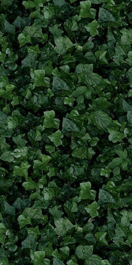 Керамогранит PAPER41 PRO Jane E (4100155)