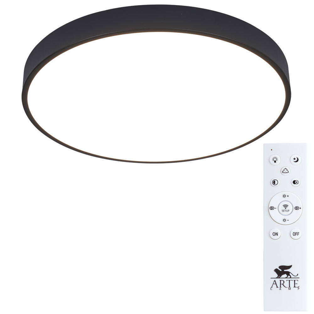 Светильник потолочный Arte Lamp Arena A2672PL-1BK