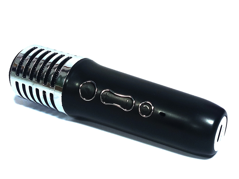 Беспроводная колонка SODO SD06 +беспроводной микрофон