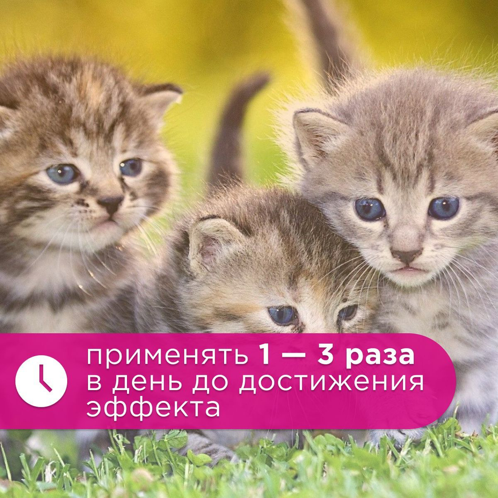 Спрей Brizberry ( Apicenna ) Приучение к туалету для кошек, 250 мл