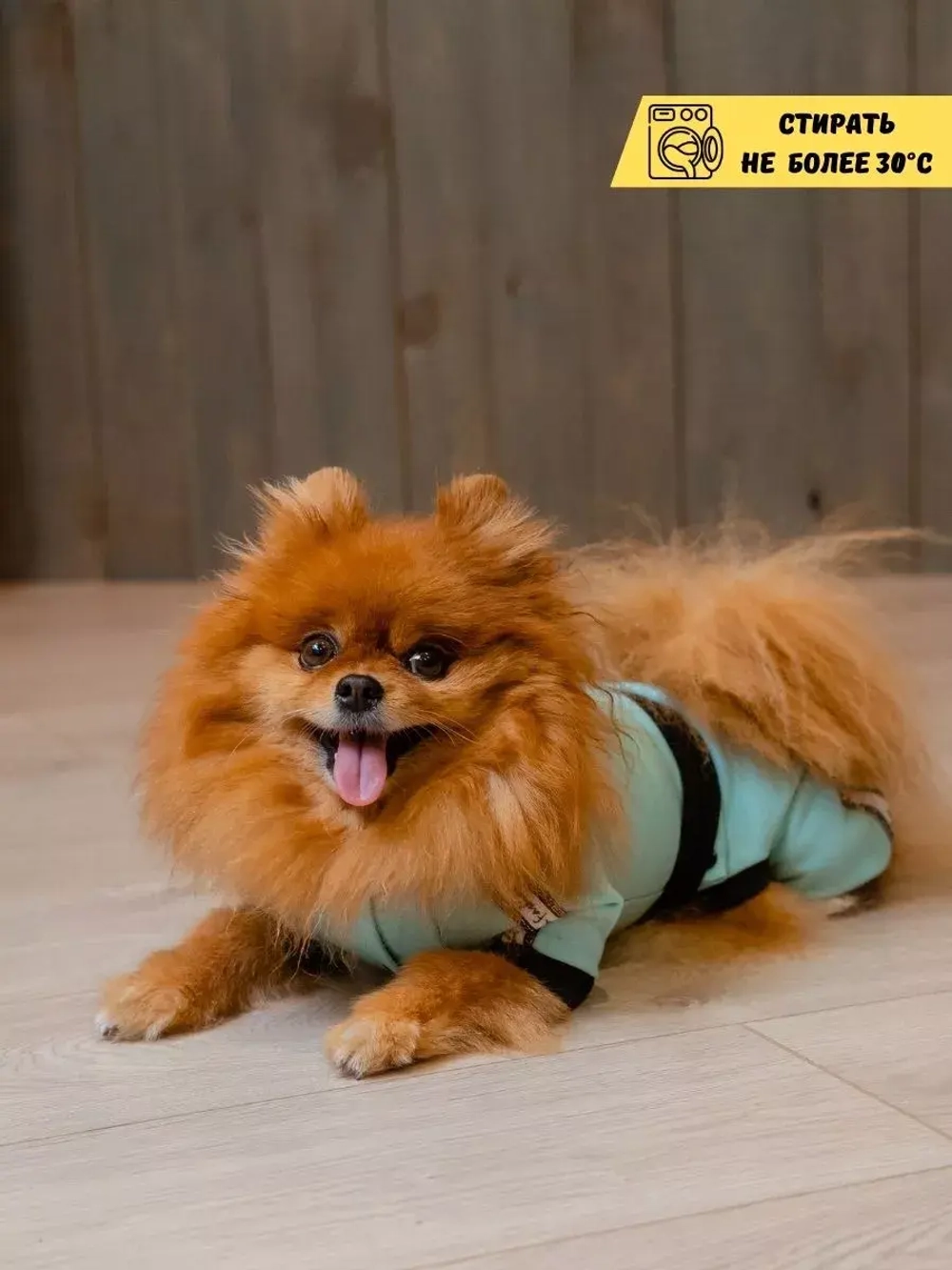 Спортивный комбинезон костюм для собак