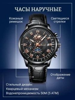 Часы наручные кварцевые POEDAGAR на кожаном ремешке, черный W9022160-05
