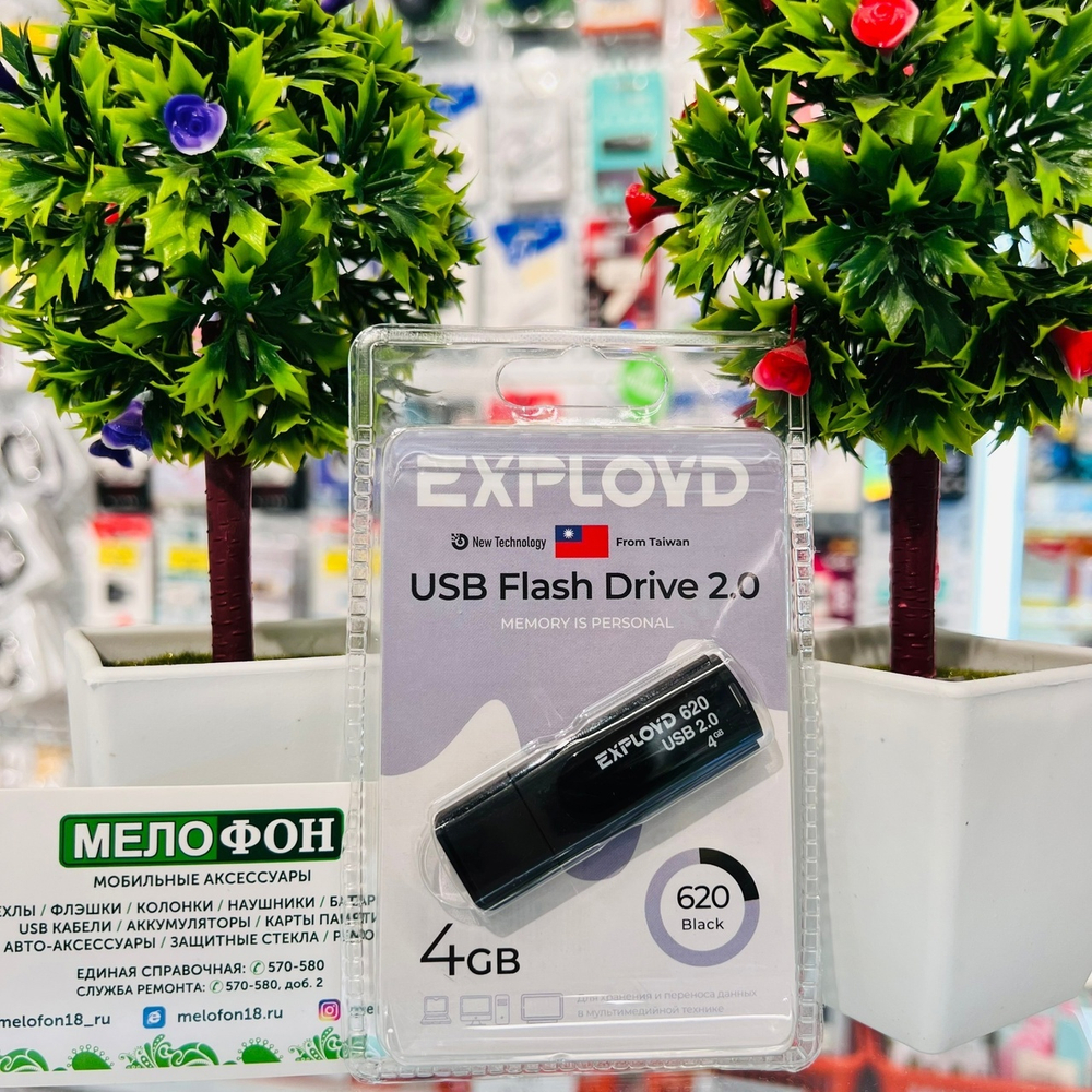 USB Флешка 4GB Exployd 620, USB 2.0, черная